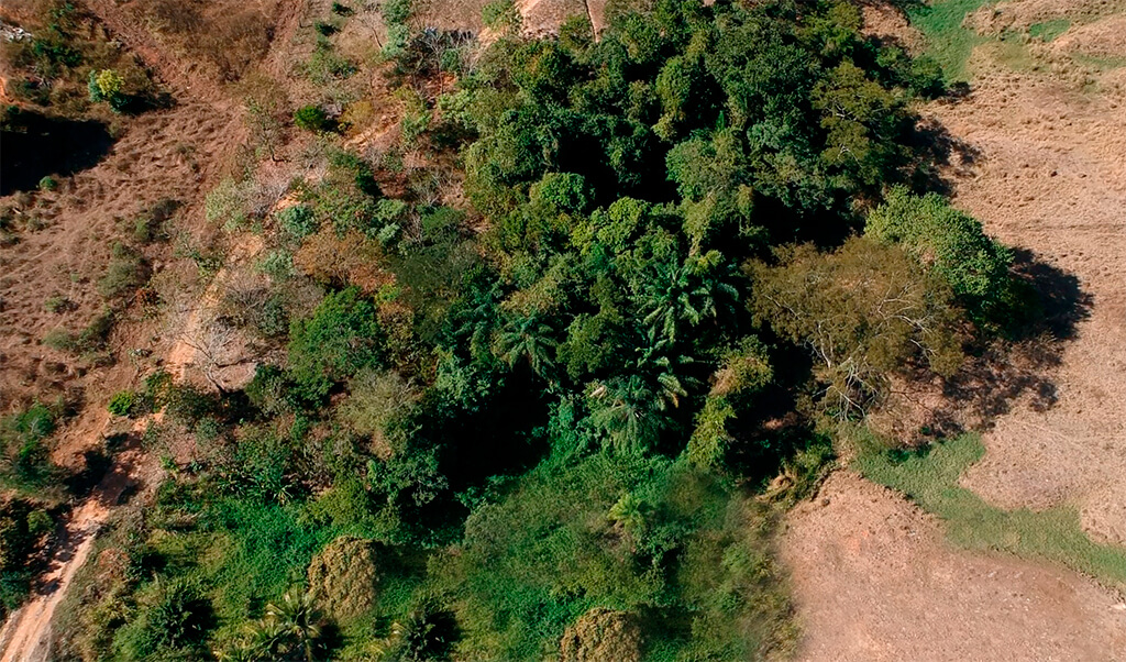 Área de preservação ambiental